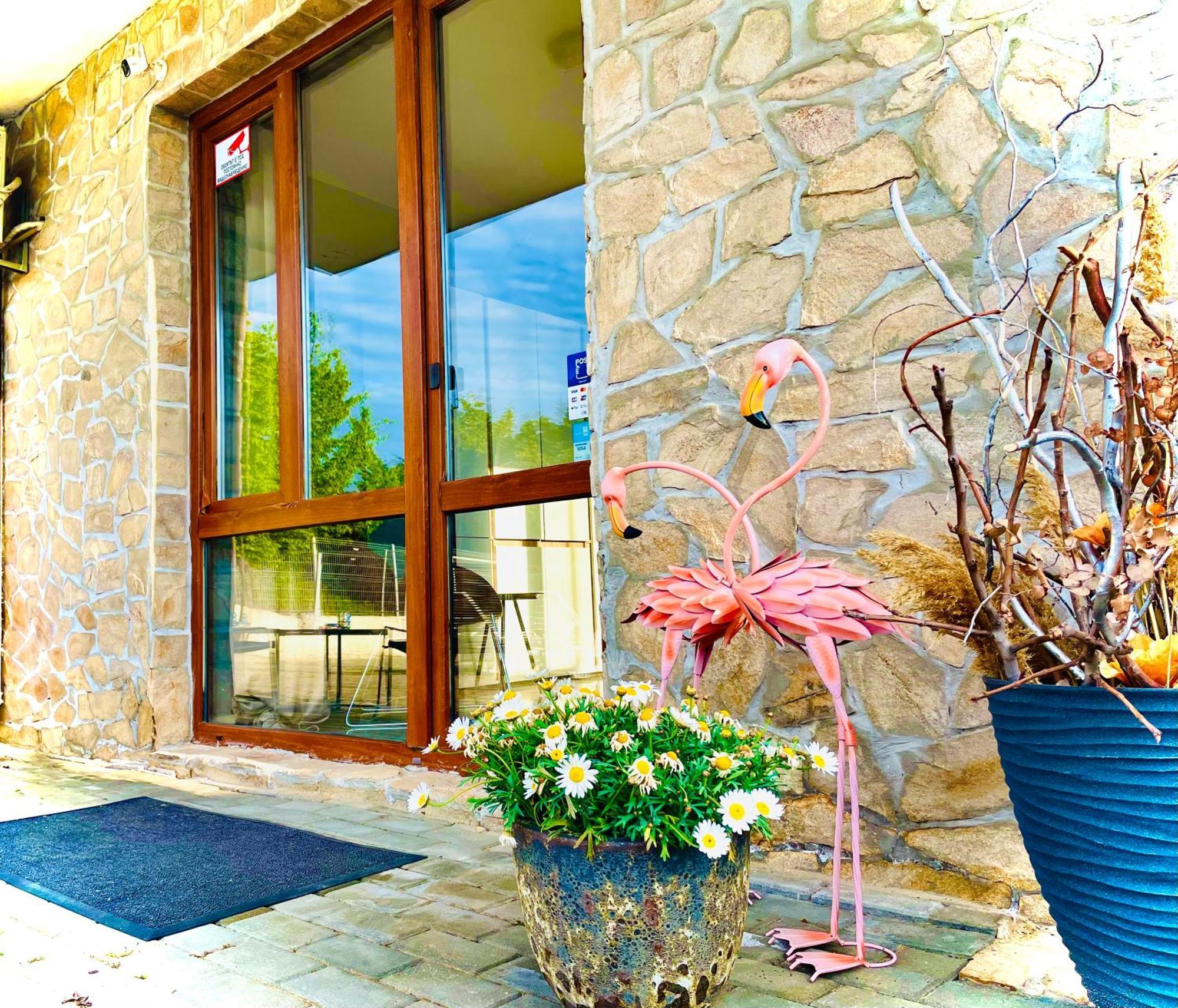 Stefaniya Apartments Sozopol Exteriör bild